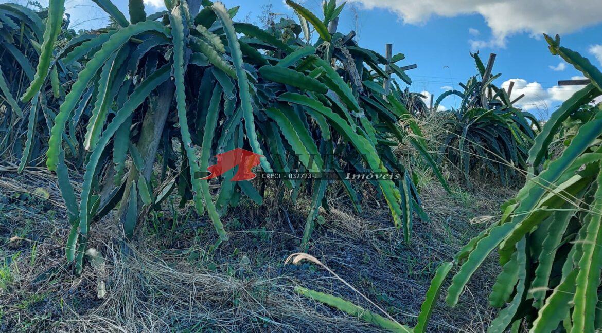 2 - IMG-20220813-WA0035